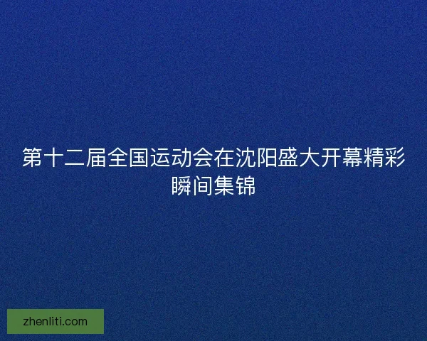 第十二届全国运动会在沈阳盛大开幕精彩瞬间集锦